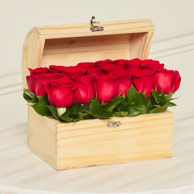 storage/images/productos/omygiNFjb6_VisualMasterStudio 3400_2_11zon.webp